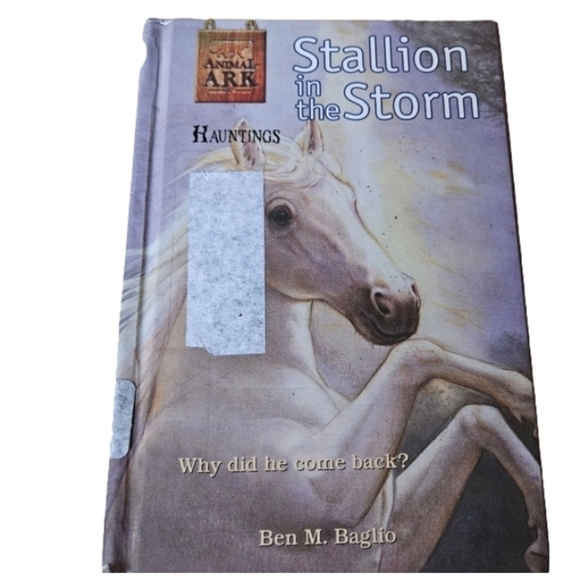 Stallion in the Storm Why did he come back? Ben M. Baglio Kids Toys Book - Picture 1 of 8